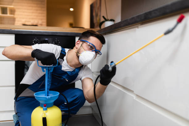 Best Pest Removal Services  in Monument Hills, CA