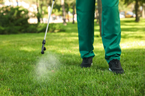 Best Residential Pest Control  in Monument Hills, CA